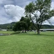 ぺの画像