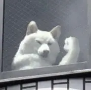 ヨシヒコ