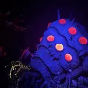 ボンレス