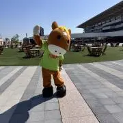 じゅんじゅんの画像