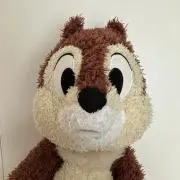 DCブランドの画像