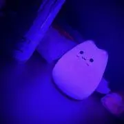 和丸の画像