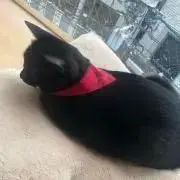 min