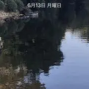 平成生まれの画像