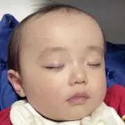 ゆきさくら