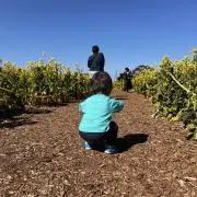 maaの画像