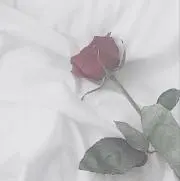 Nia.(プロフィール必読)の画像