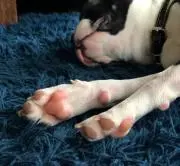 299☺︎の画像