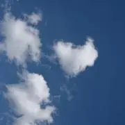 そうたの画像