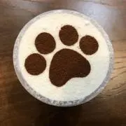 アスランの画像