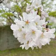 mm★の画像