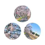 i☆ris♡返信・コメント無しブロック×