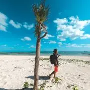 S.O