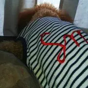 mi♡断捨離中～プロフ必読