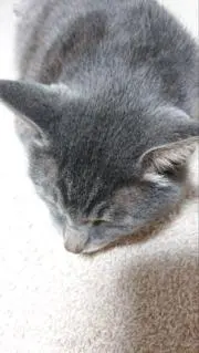 はるちゃん（プロフ確認必須）の画像