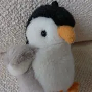 nyaoの画像