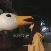 おもちの画像