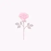 いちごの画像