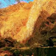 Backside Summit Design 森旅テーブル - メルカリ