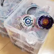 地鶏