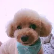 ろこたん⭐︎プロフ確認を⭐︎の画像