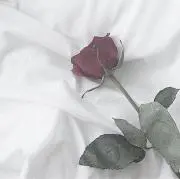 みるくの画像