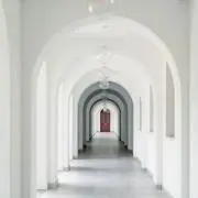 Seriの画像