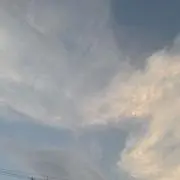 ミハル