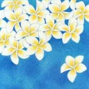 junko.may11