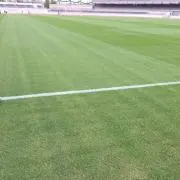 ちびすけ