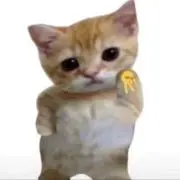 ねこ