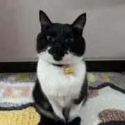 10/16〜4日お休み★Catty★の画像