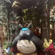 アイ(愛)✨の画像