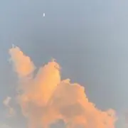 どの画像