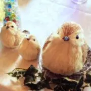 やっぴの画像