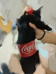 sdssmfyの画像