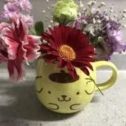 ミルクの画像