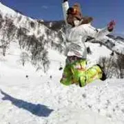 rarakoの画像
