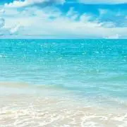 aaa