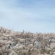 潤