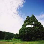 まちゃ坊