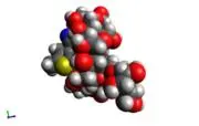 β-cyclodextrin(10mM)