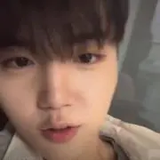 통통の画像