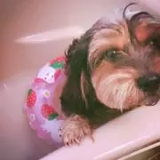 たけ♪