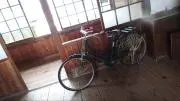 ぶぅ！の画像