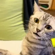 こーすけ