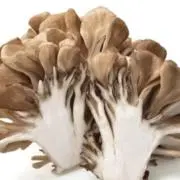 まいたけの画像