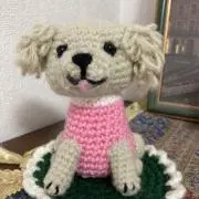 ドラ子の画像