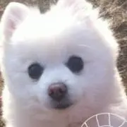 まぁみ