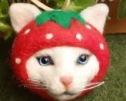 ★thouchan.y ★の画像
